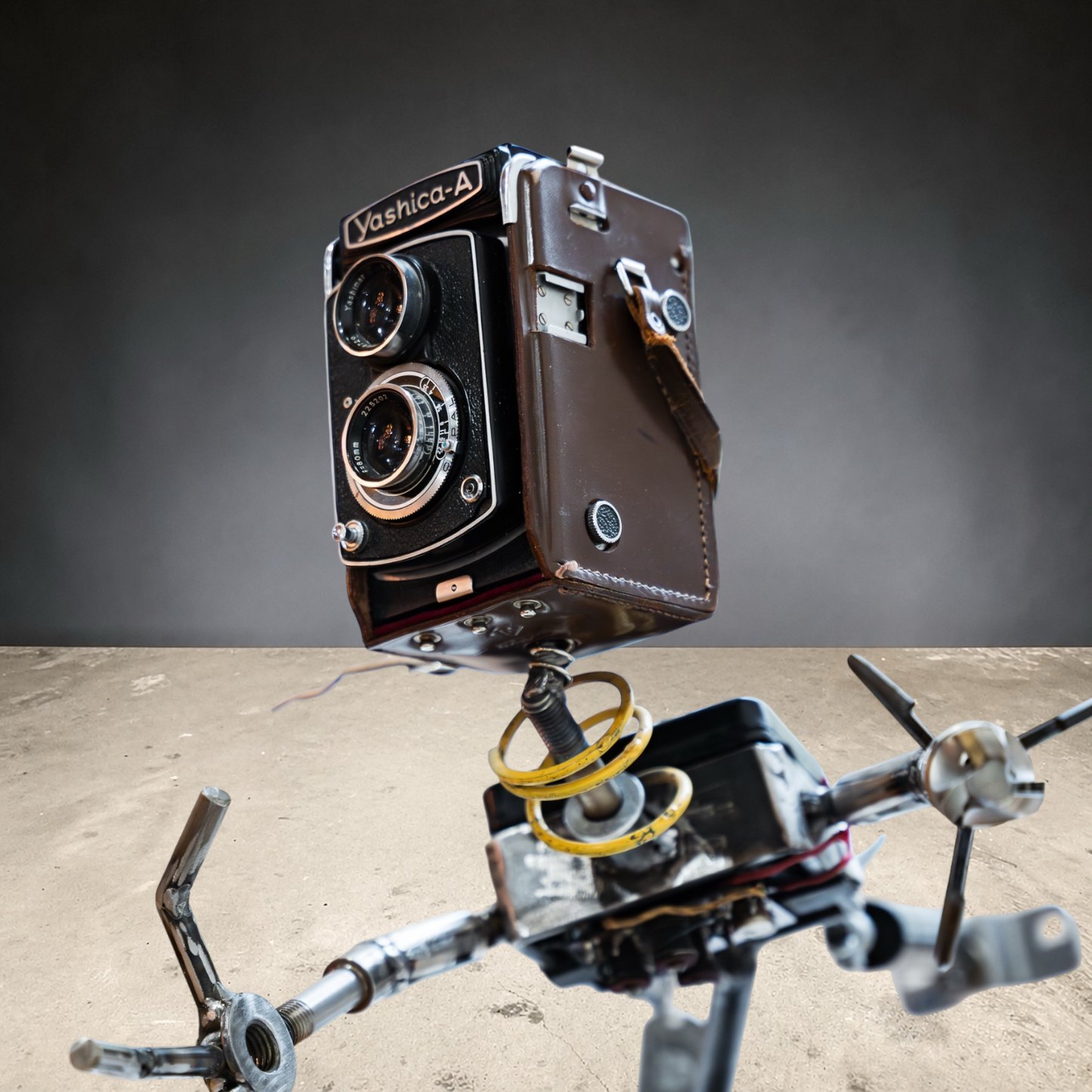Ace - The Flying Lens of Destiny